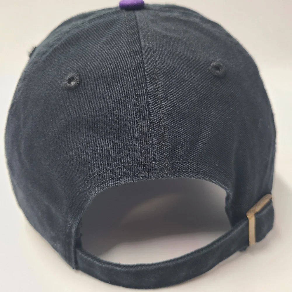 Tampa Bay Devil Rays Hat Strapback 47 Brand Clean Up Black Purple Cooperstown